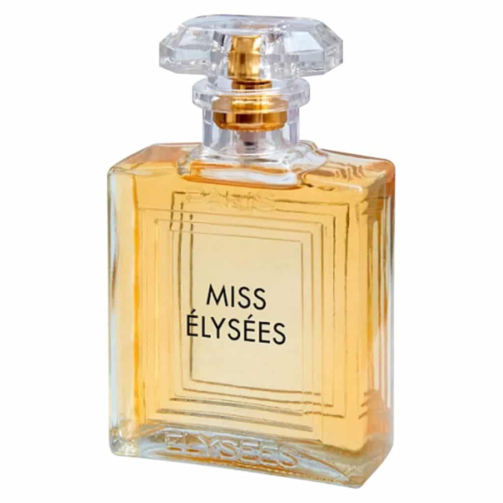 Frasco Miss Elysees Paris Elysees Perfume Feminino 100ml